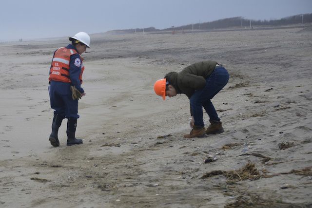 Coast Guard Petty Officer NiChelle Flynn and New York Department of Environmental Conservation environmental engineer Rick Lin patrol Breezy Point Beach Sunday, March 31, 2019, searching for tar balls.